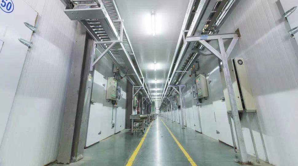 下面給大家講一講在設(shè)計冷庫前需要做哪些準備工作